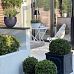 IDEALIST Lite Leaf Embossed Ball Planter