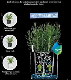 LECHUZA OJO Round Poly Resin Indoor Self-watering Planter