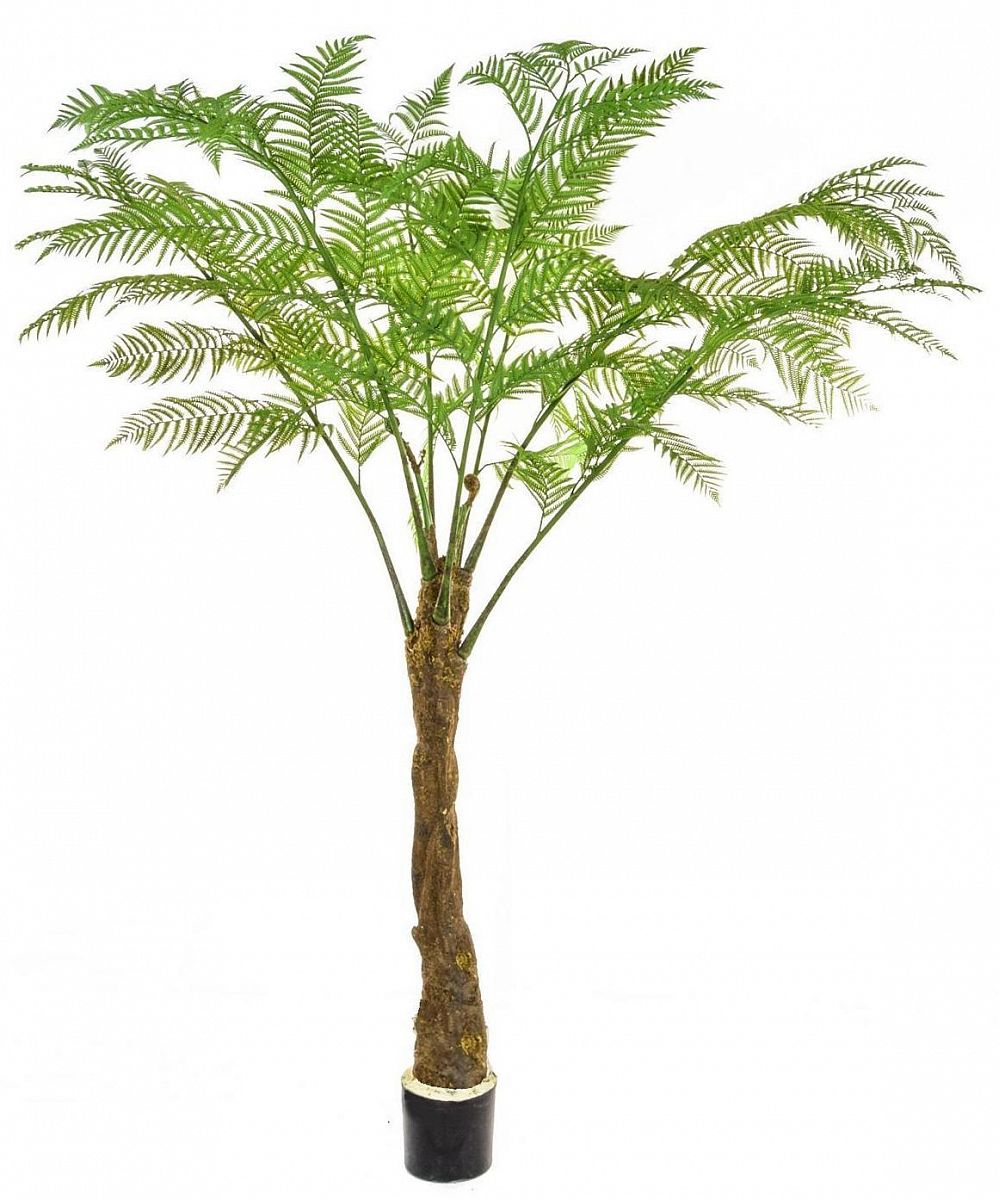 Palm Alsophila Artificial Tree Plant