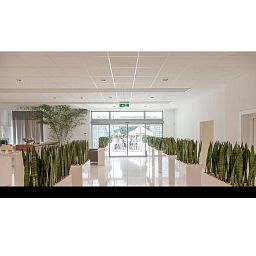 PREMIUM BLOCK Room Divider Trough Plastic Planter