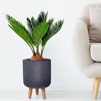 IDEALIST Lite Ribbed Cylinder Planter on Legs, Round Pot Plant Stand Indoor