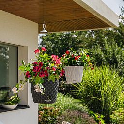 LECHUZA NIDO Cottage Round Poly Resin Outdoor Self-watering Planter