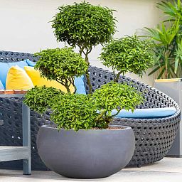 IDEALIST Lite Classic Smooth Bowl Outdoor Planter