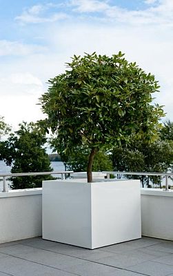 Square Fiberstone Planter by Idealist Premium JUMBO Glossy