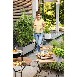 LECHUZA TRIO Stone Trough Poly Resin Self-watering Planter