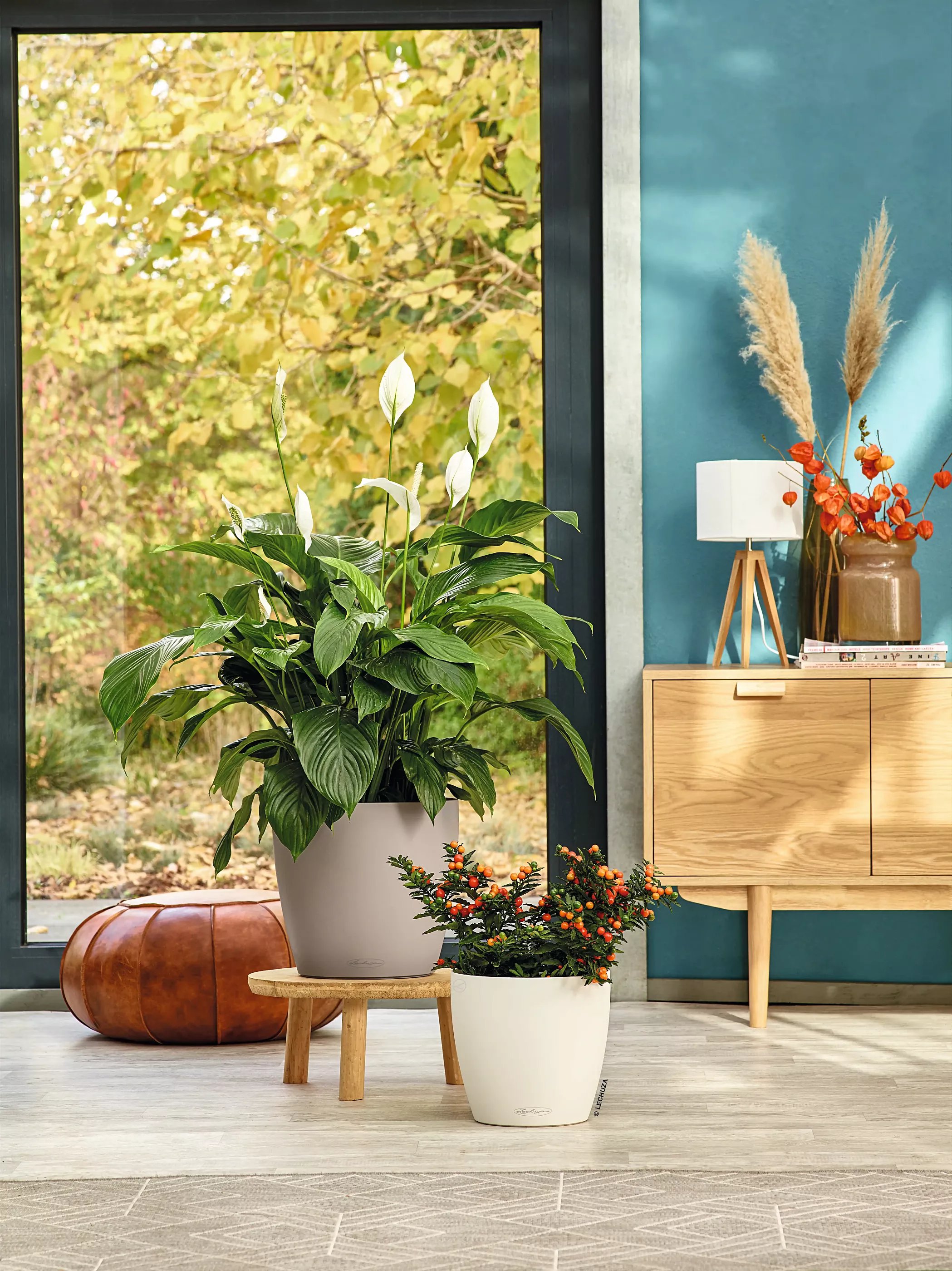 LECHUZA CLASSICO Color Round Poly Resin Self-watering Planter