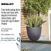 IDEALIST Lite Hammered Stone Light Concrete Egg Outdoor Planter