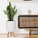 IDEALIST Lite Honeycomb Style Egg Planter on Legs, Round Pot Plant Stand Indoor