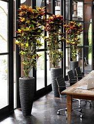 Composits Polystone Partner Seaside Round Tall Indoor Planter Pot