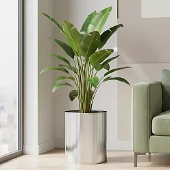 Superline Standard on Ring Round Indoor Planter