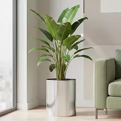 Superline Standard on Ring Round Indoor Planter