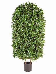 Laurel Square Artificial Tree Plant