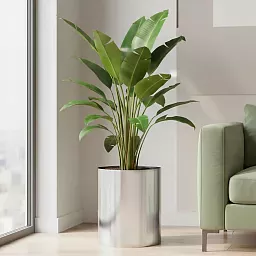 Superline Standard on Ring Round Indoor Planter