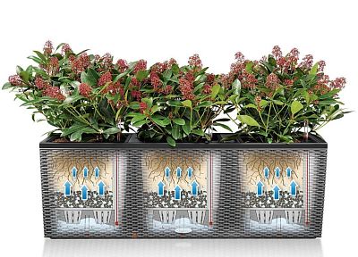 LECHUZA TRIO Cottage Trough Poly Resin Self-watering Planter