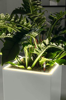 LECHUZA CANTO Premium High LED Square Tall Poly Resin Self-watering Planter