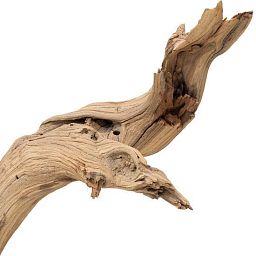 Ghostwood Sand Blasted Branchy Artificial Branch