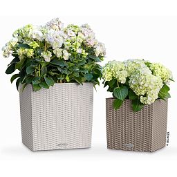 LECHUZA CUBE Cottage Square Poly Resin Self-watering Planter