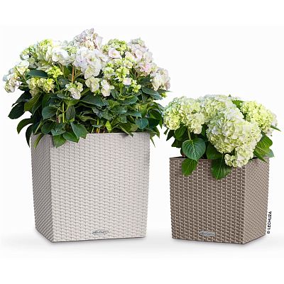 LECHUZA CUBE Cottage Square Poly Resin Self-watering Planter
