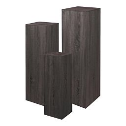EXPO Pedestal