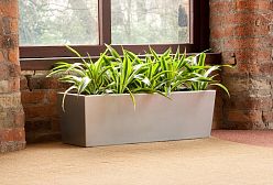 Contemporary Rectangular Trough GRP Planter