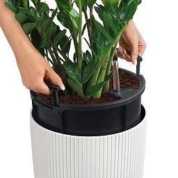 LECHUZA CILINDRO Color Round Tall Poly Resin Self-watering Planter