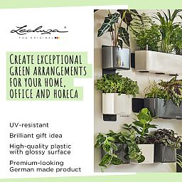 LECHUZA Green Wall Home Kit Glossy Indoor Self-watering Planter