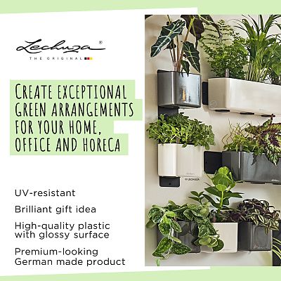 LECHUZA Green Wall Home Kit Glossy Indoor Self-watering Planter