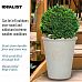 Rustic Style Rolled Rim Vase Outdoor Planter by Idealist Lite