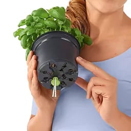 LECHUZA 6er Set Watering Stick