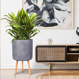 IDEALIST Lite Honeycomb Style Cylinder Planter on Legs, Round Pot Plant Stand Indoor