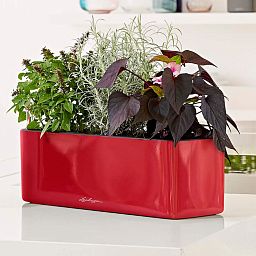 LECHUZA CUBE Glossy Triple Trough Poly Resin Self-watering Planter