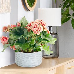IDEALIST Lite Wave Style Table and Hanging Cylinder Round Plant Pot Dual Use Indoor Planter