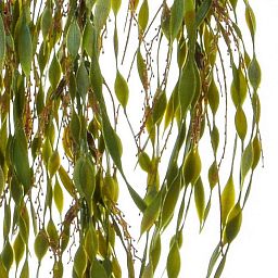 Money Trail UV-resistant Artificial Branch Plant