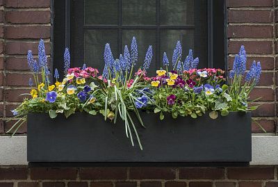 Trough Fiberstone Low Planter by Idealist Premium JORT