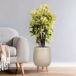 IDEALIST Lite Plaited Style Egg Planter on Legs, Round Pot Plant Stand Indoor