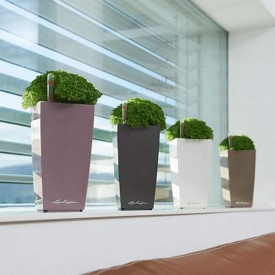 LECHUZA CUBI Square Poly Resin Indoor Self-watering Planter