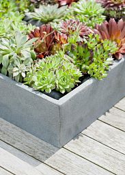Square Fiberstone Low Planter by Idealist Premium JUMBO