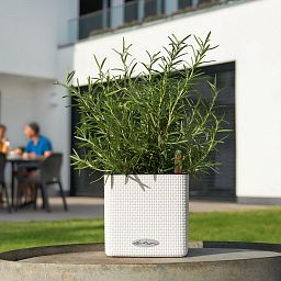 LECHUZA CUBE Color Square Poly Resin Indoor Self-watering Planter