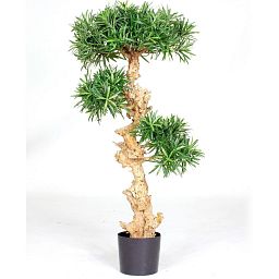 PODOCARPUS BONSAI Artificial Tree Plant