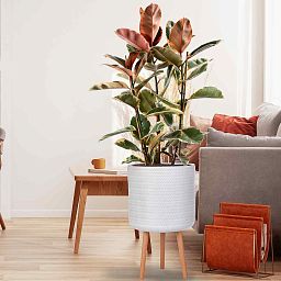 IDEALIST Lite Plaited Style Cylinder Planter on Legs, Round Pot Plant Stand Indoor