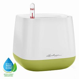 LECHUZA YULA Square Poly Resin Indoor Self-watering Planter