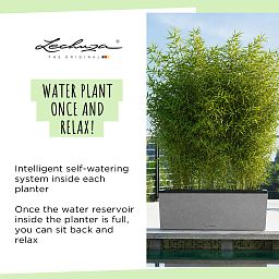 LECHUZA TRIO Stone Trough Poly Resin Self-watering Planter