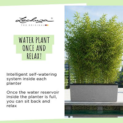 LECHUZA TRIO Stone Trough Poly Resin Self-watering Planter
