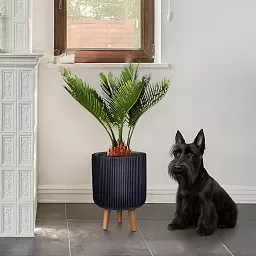 IDEALIST Lite Ribbed Cylinder Planter on Legs, Round Pot Plant Stand Indoor