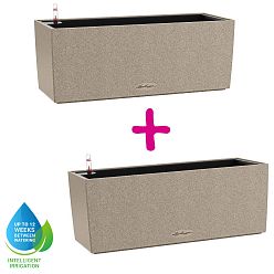 LECHUZA BALCONERA Stone Trough Poly Resin Self-watering Planter Set