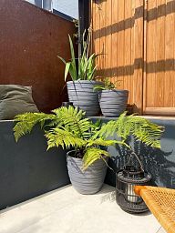 IDEALIST Lite Row Light Concrete Egg Planter