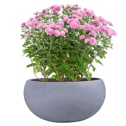 IDEALIST Lite Classic Smooth Bowl Outdoor Planter