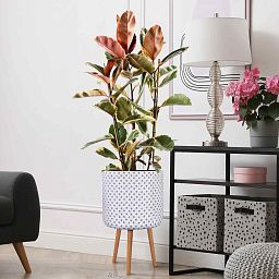 IDEALIST Lite Dotted Style Planter on Legs, Round Plant Pot Indoor