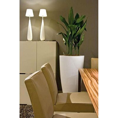 PREMIUM LUNA Tall Plastic Planter