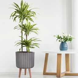 IDEALIST Lite Modern Ribbed Cylinder Planter on Legs, Round Pot Plant Stand Indoor